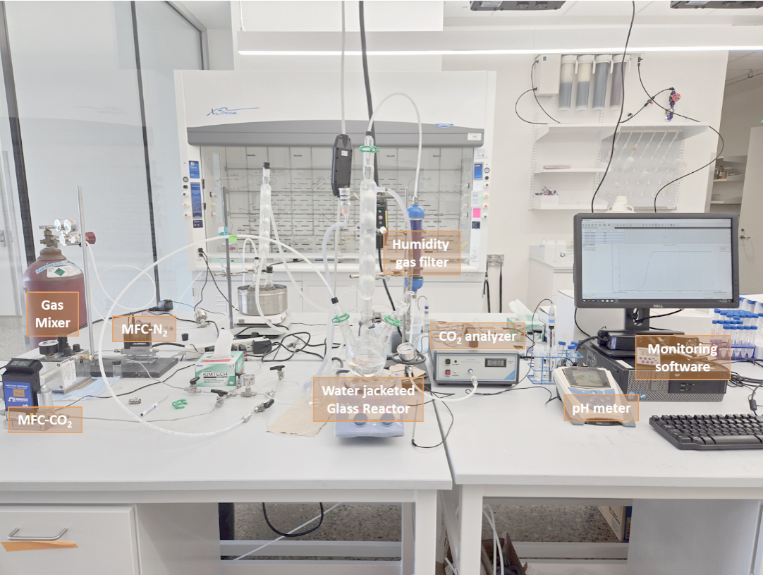 Carbon Capture Experimental Setup